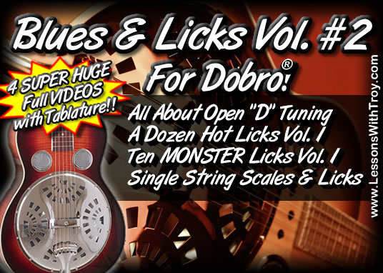 Blues and Licks For Dobro® Vol. 2