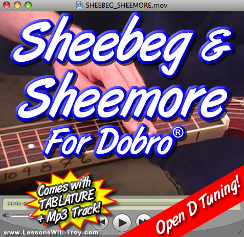 Sheebeg and Sheemore - Irish Song for Dobro®