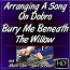 BURY ME BENEATH THE WILLOW - Arranging A Song In Different Keys On Dobro