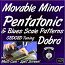 Movable Minor Pentatonic & Blues Scale Patterns for Dobro