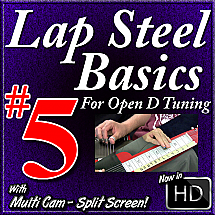 Lap Steel Basics - Vol. 5 - MOVABLE BLUES LICKS