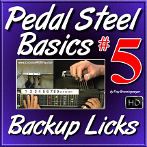 #05 - PEDAL STEEL BASICS - "Beginner Backup Licks"