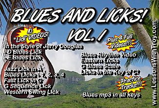 Blues and Licks For Dobro® Vol. 1